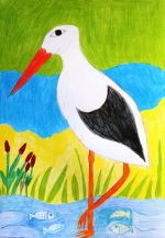 Paľuchová Mirka.jpg